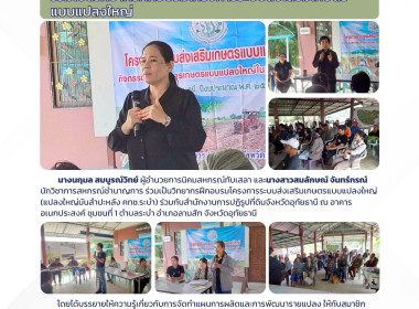 ร่วมเป็นวิทยากรฝึกอบรมโครงการระบบส่งเสริมเกษตรแบบแปลงใหญ่ พารามิเตอร์รูปภาพ 1
